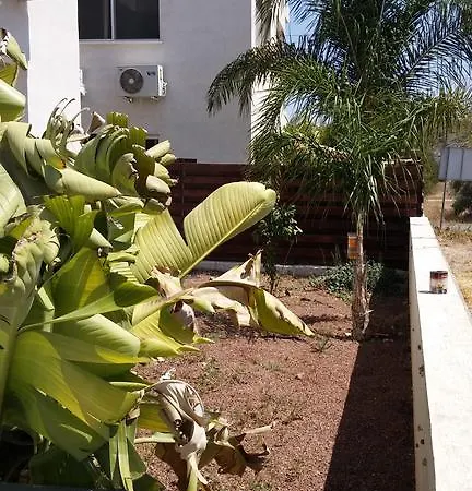 Apartment Palms