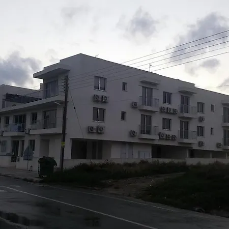 Palms